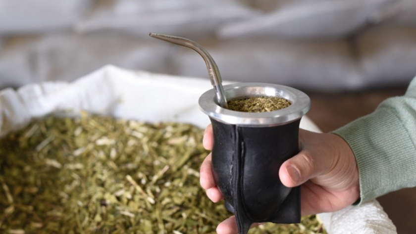 Al cierre de agosto, el consumo de yerba mate superó los 213 millones de kilos entre mercado interno y exportaciones