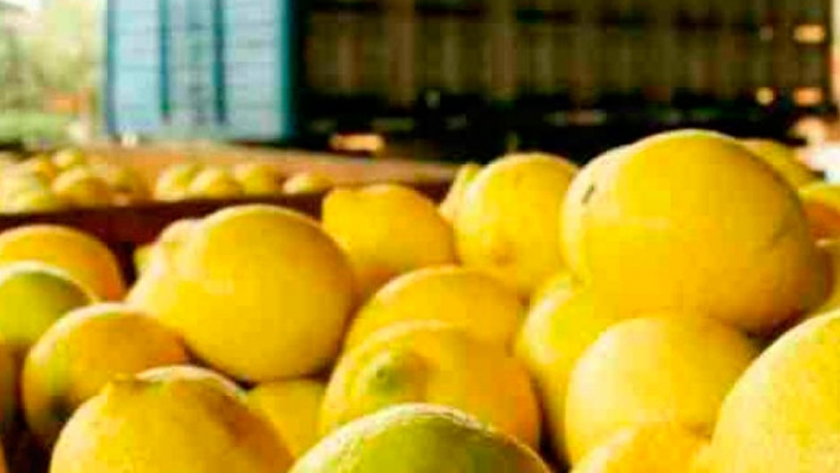 ¿Qué le piden los mercados internacionales a la fruta argentina?