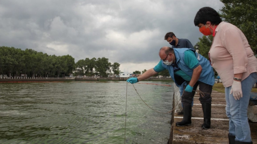 Cianobacterias en el Río de la Plata: avanzan las acciones de control y monitoreo