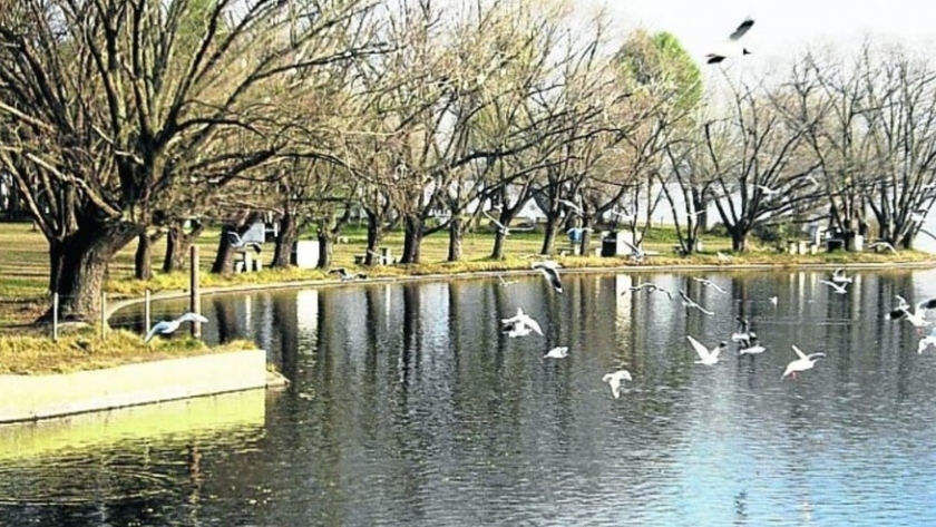 La hermosa laguna oculta en Buenos Aires para conectar con la naturaleza
