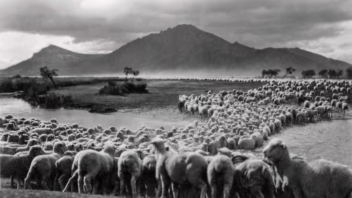 Trevelin: el legado gales que florece en la Patagonia cordillerana