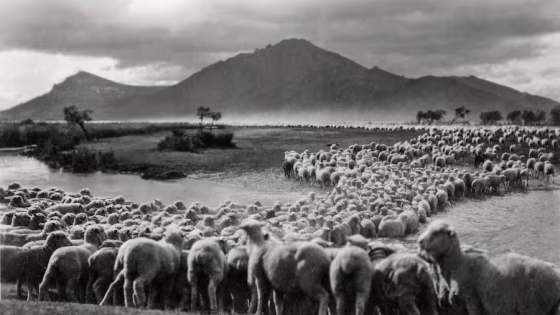 Trevelin: el legado gales que florece en la Patagonia cordillerana