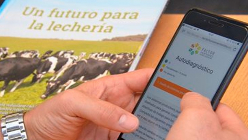 Lanzan una herramienta para evaluar la gestión de las personas en la empresa lechera