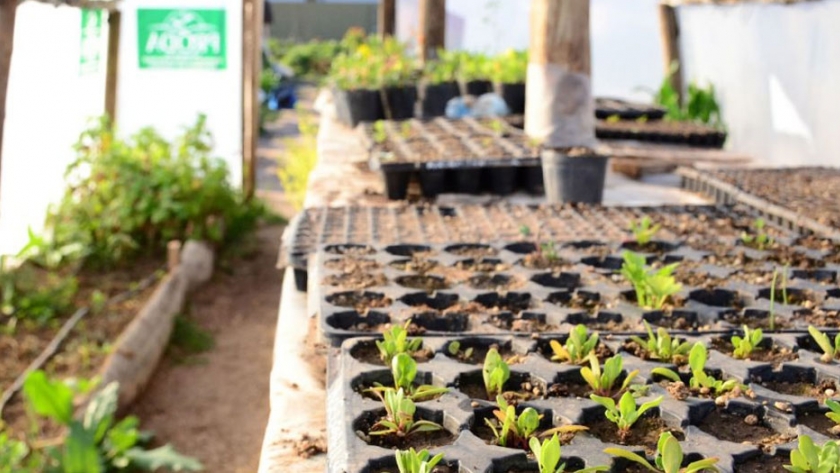 La arquitectura y la agricultura urbana convergen en la producción agroalimentaria