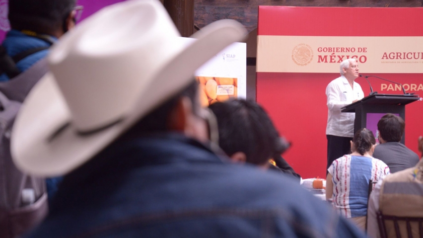 Destaca Agricultura que México se consolida como productor mundial de alimentos