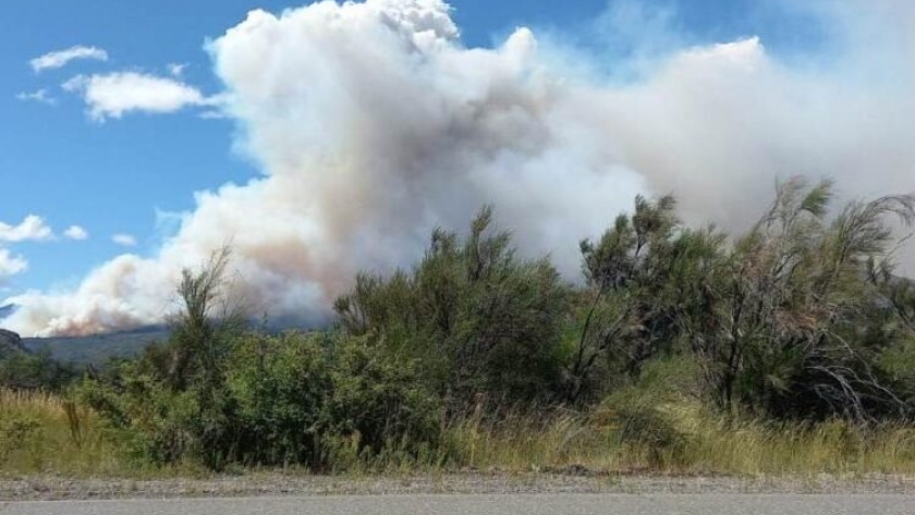 Combaten desde el sábado un voraz incendio forestal en el Parque Nacional Los Alerces e investigan las causas que dieron su origen