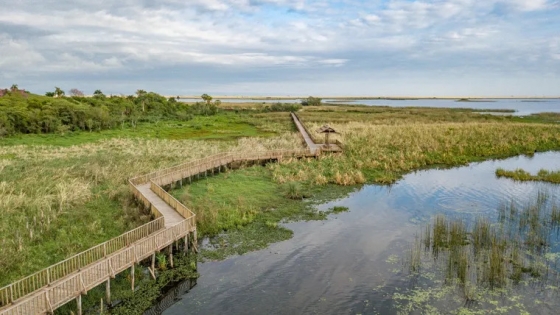 Carlos Pellegrini, el pueblo correntino que enamora al mundo con su equilibrio entre naturaleza y comunidad