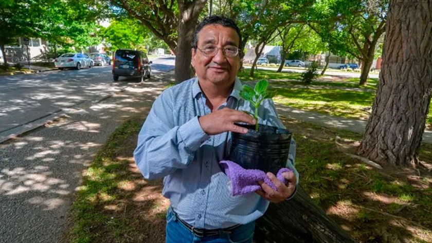 Adaptó el yacón de Perú al clima neuquino y ahora lo exporta