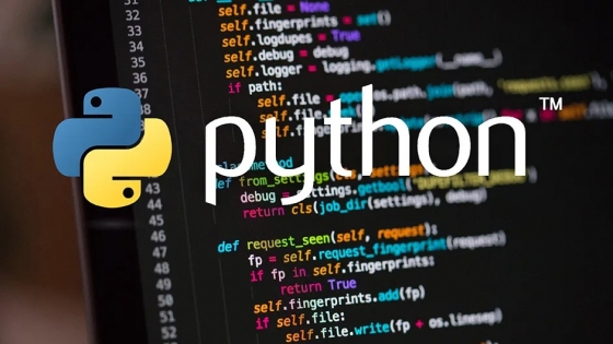 Aprender Python: la puerta de entrada al mundo de la programación