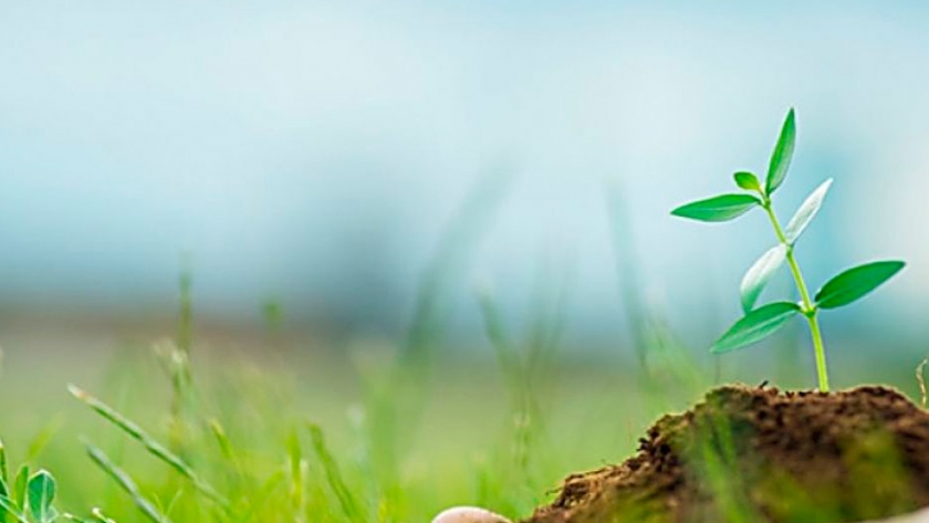 Retos y oportunidades de la bioeconomia ante el COVID-19