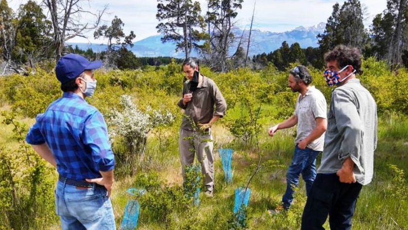 Autoridades provinciales y del INTA Esquel recorrieron el área de implementación de proyecto que recibe aportes de la Ley de Bosques