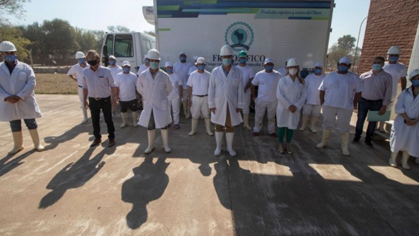 Tras cinco años, Chaco volverá a exportar carne caprina: 