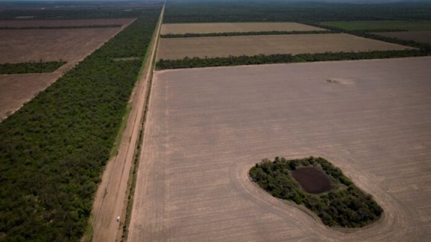 Chaco- Ordenan suspender desmontes por 90 días ante riesgo de daños irreversibles al ecosistema