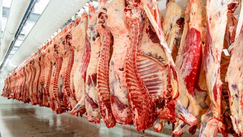 El coronavirus impactó en las exportaciones de carne vacuna en enero 