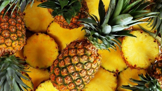 La piña: un tesoro tropical lleno de beneficios para la salud