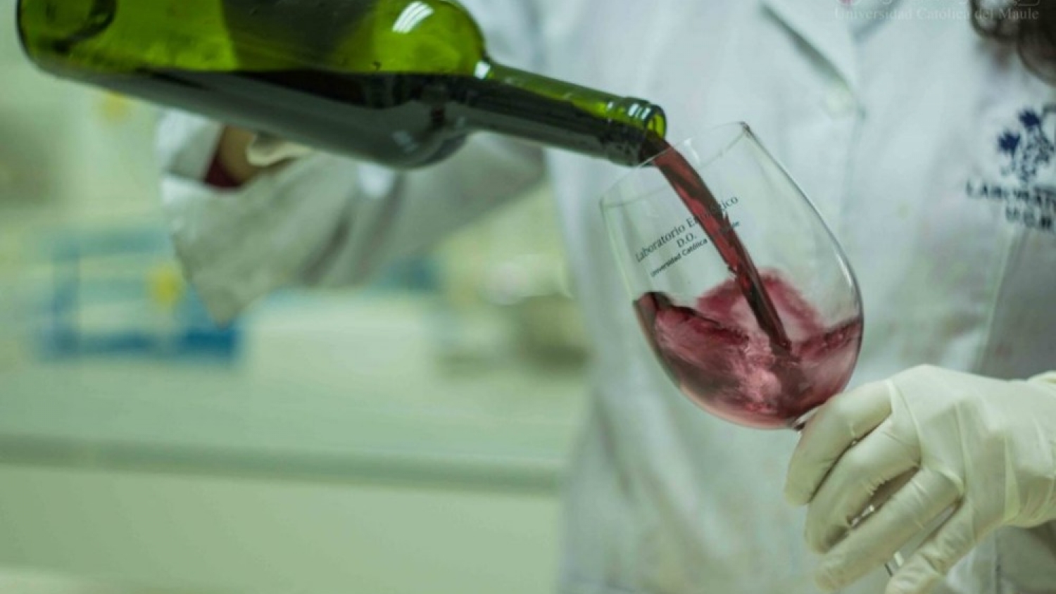 Más de 160 laboratorios participaron en un programa nacional que fortalece el control de calidad del vino argentino