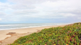 Mar de Cobo, el refugio costero que gana protagonismo entre quienes buscan calma cerca de Mar del Plata