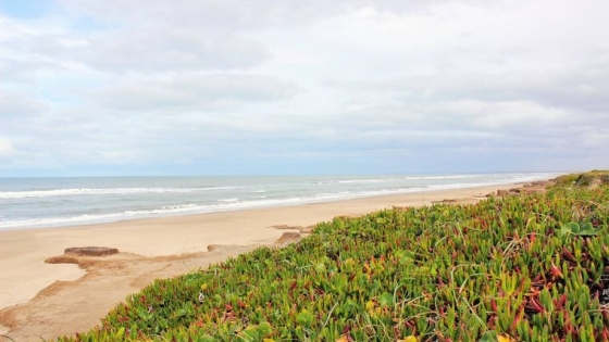 Mar de Cobo, el refugio costero que gana protagonismo entre quienes buscan calma cerca de Mar del Plata