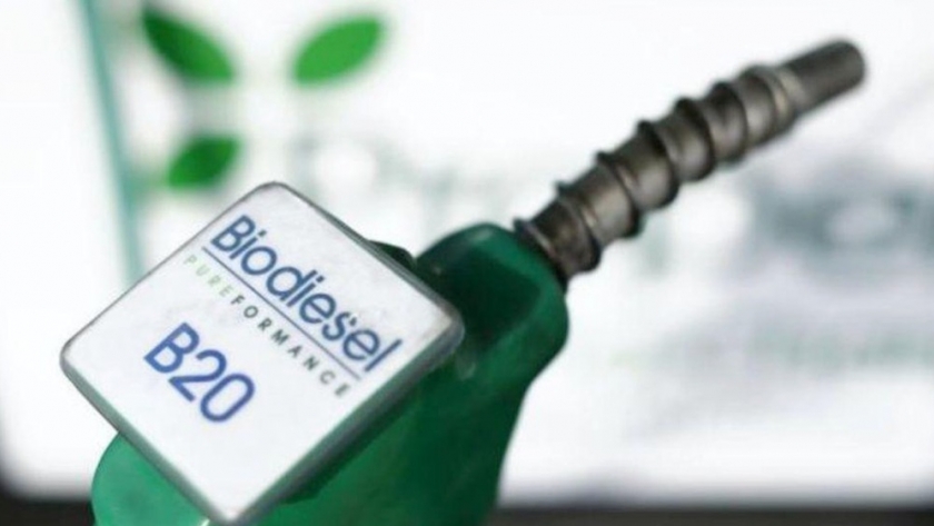 Argentina, el único país del mundo en el que se desploma la producción de biodiesel en el último lustro
