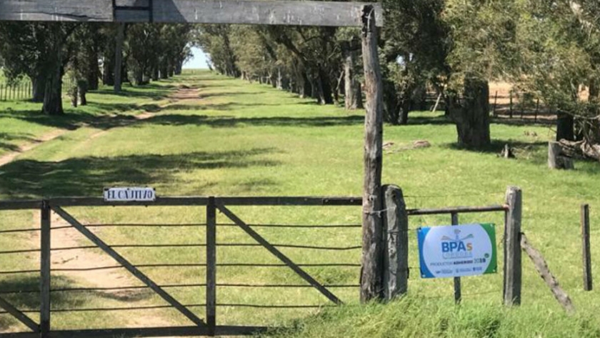 Traslasierra: $2,1 millones por aplicar buenas prácticas agropecuarias