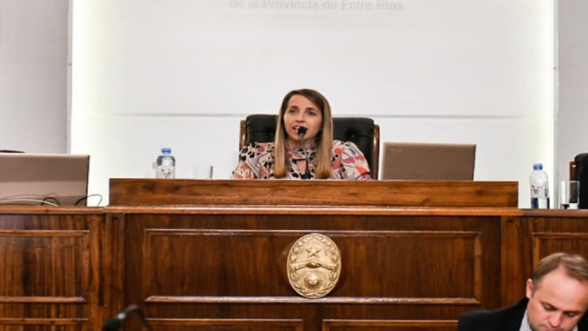 Por primera vez en su historia, el Senado provincial sesionó por videoconferencia