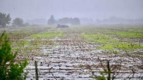 Clima dispar: lluvias en el NEA y riesgo de heladas en el sur del área agrícola