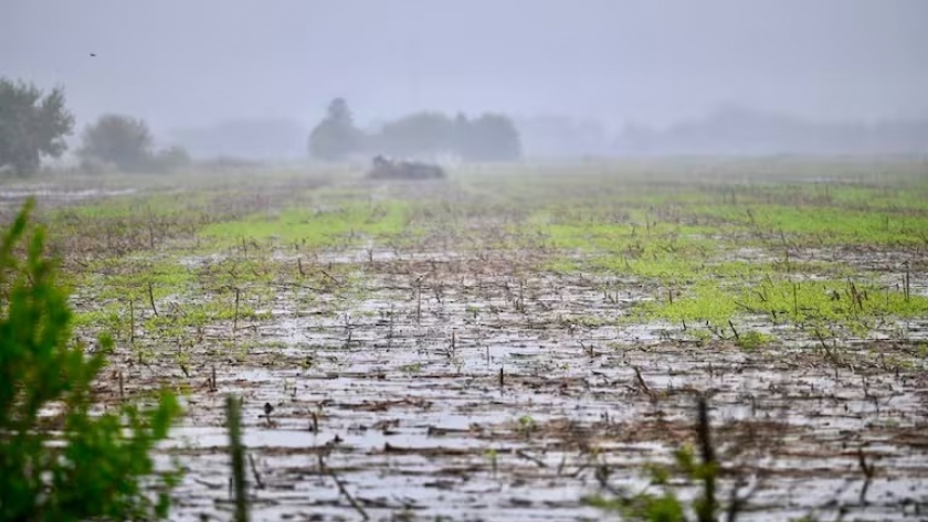 Clima dispar: lluvias en el NEA y riesgo de heladas en el sur del área agrícola