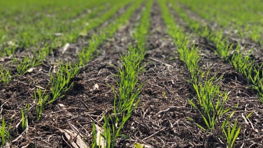 Entre Ríos simplifica el tratamiento de las declaraciones de emergencia agropecuaria