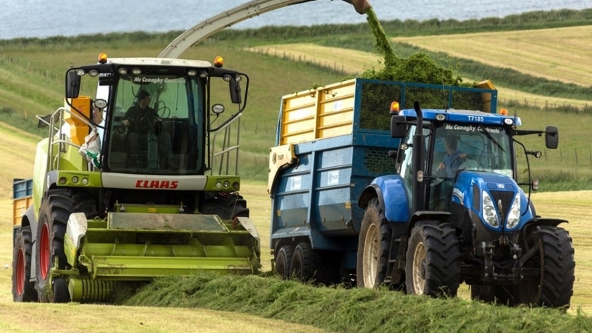 Las Técnicas De Producción En El Campo Son Cada Vez Más Eficientes Y ...