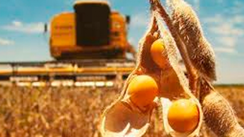 El USDA redujo su estimación de stocks globales de soja y trigo y subió los de maíz