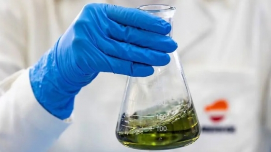 Biodiésel en Córdoba: cómo transformaron una planta silvestre