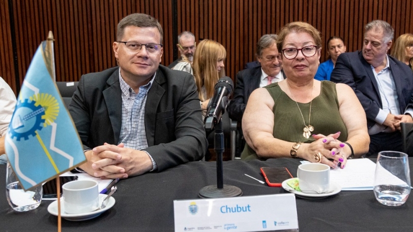 Chubut participó de la presentación del Proyecto Federal de Investigación, Transferencia y Fortalecimiento para la Salud en Territorio