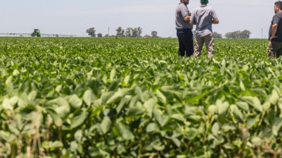 La confianza del campo sigue alta, pero crecen las dudas sobre la economía y la ganadería