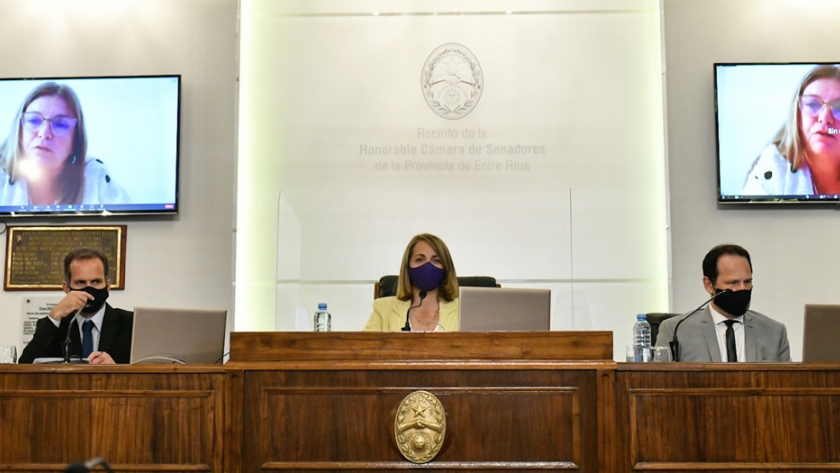 El proyecto que fija capacitar en perspectiva de género para concursos del Consejo de la Magistratura con media sanción