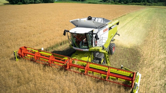 COCERAL prevé una nueva caída en la producción de cereales de la UE