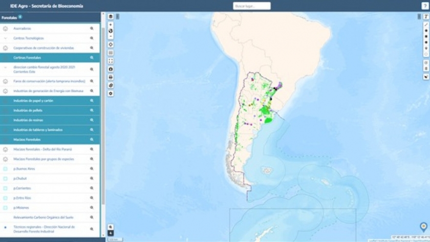 Lanzan una plataforma para acceder en línea a información forestal detallada