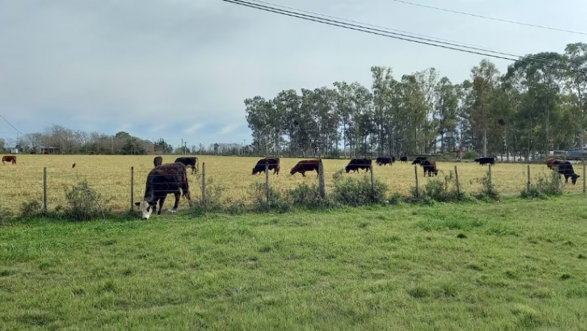 El Gobierno prepara una ley de inversiones para pymes con impacto en el campo
