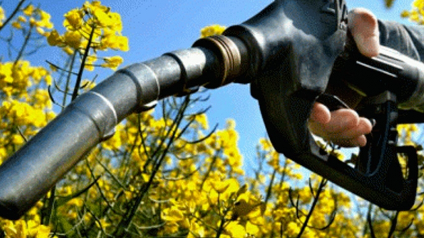 Biodiesel 
