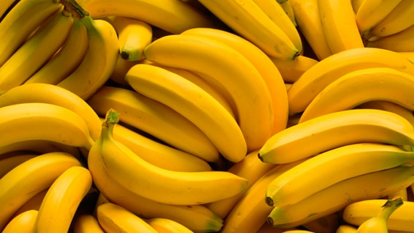 Aseguran que las bananas están en peligro de extinción por un hongo