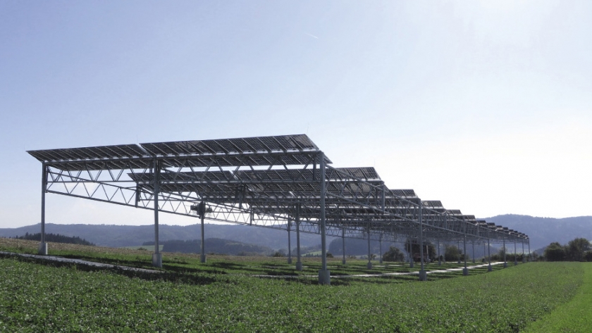 El fin de semana leyó: La flexibilidad de la energía solar puede ser una ventaja para la agricultura