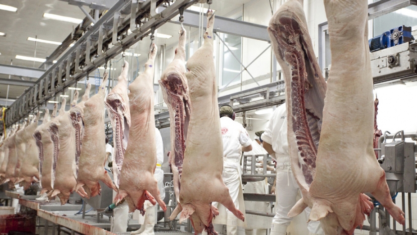 La Federación de Productores Porcinos considera clave al Senasa para afianzar la producción