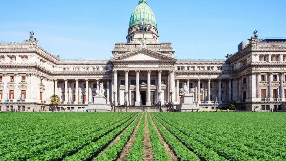 El Congreso define nuevas autoridades en Agricultura y ordena la agenda clave para el campo en 2026