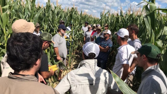 El modelo colaborativo que revolucionó la agricultura del norte de Córdoba