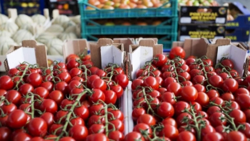 Se fortalece el trabajo con la economía social y cooperativas productoras de alimentos