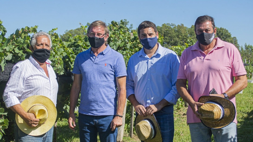 La vitivinicultura se consolida en Entre Ríos como actividad agropecuaria y turística