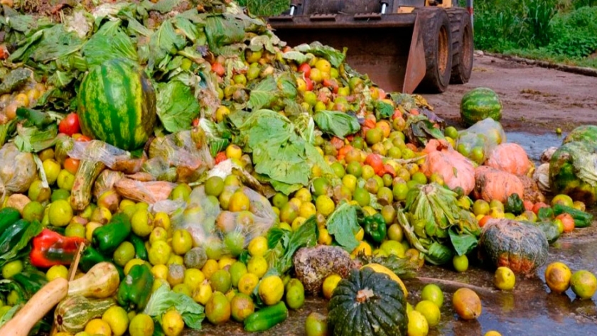 América Latina representa 20% del desperdicio de comida en el mundo