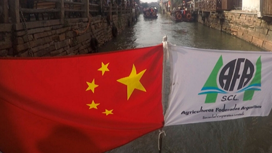 La cooperativa AFA concretará el primer cargamento de arvejas para China