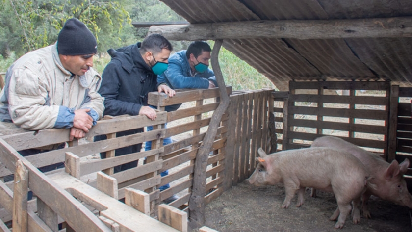 El Ministerio de Producción entregó una pareja de porcinos a un pequeño productor de Nogolí