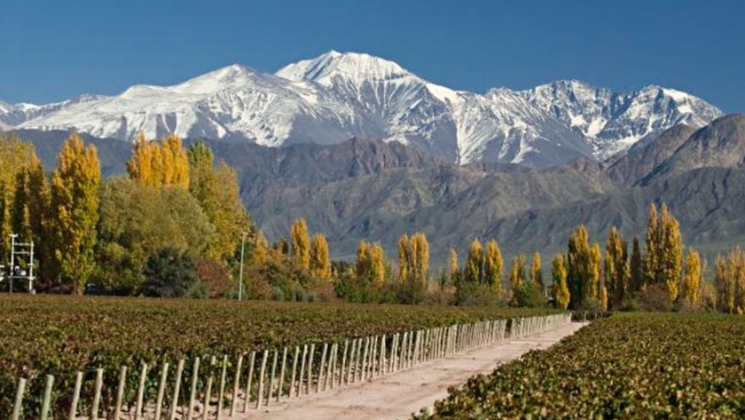 Cuándo visitar viñedos en Argentina