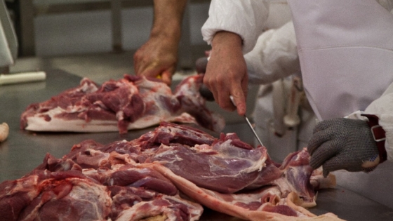 Argentina abrió el mercado de Filipinas para exportarle carne aviar, porcina y bovina con hueso